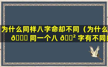 为什么同样八字命却不同（为什么 🐋 同一个八 🌲 字有不同的看法）